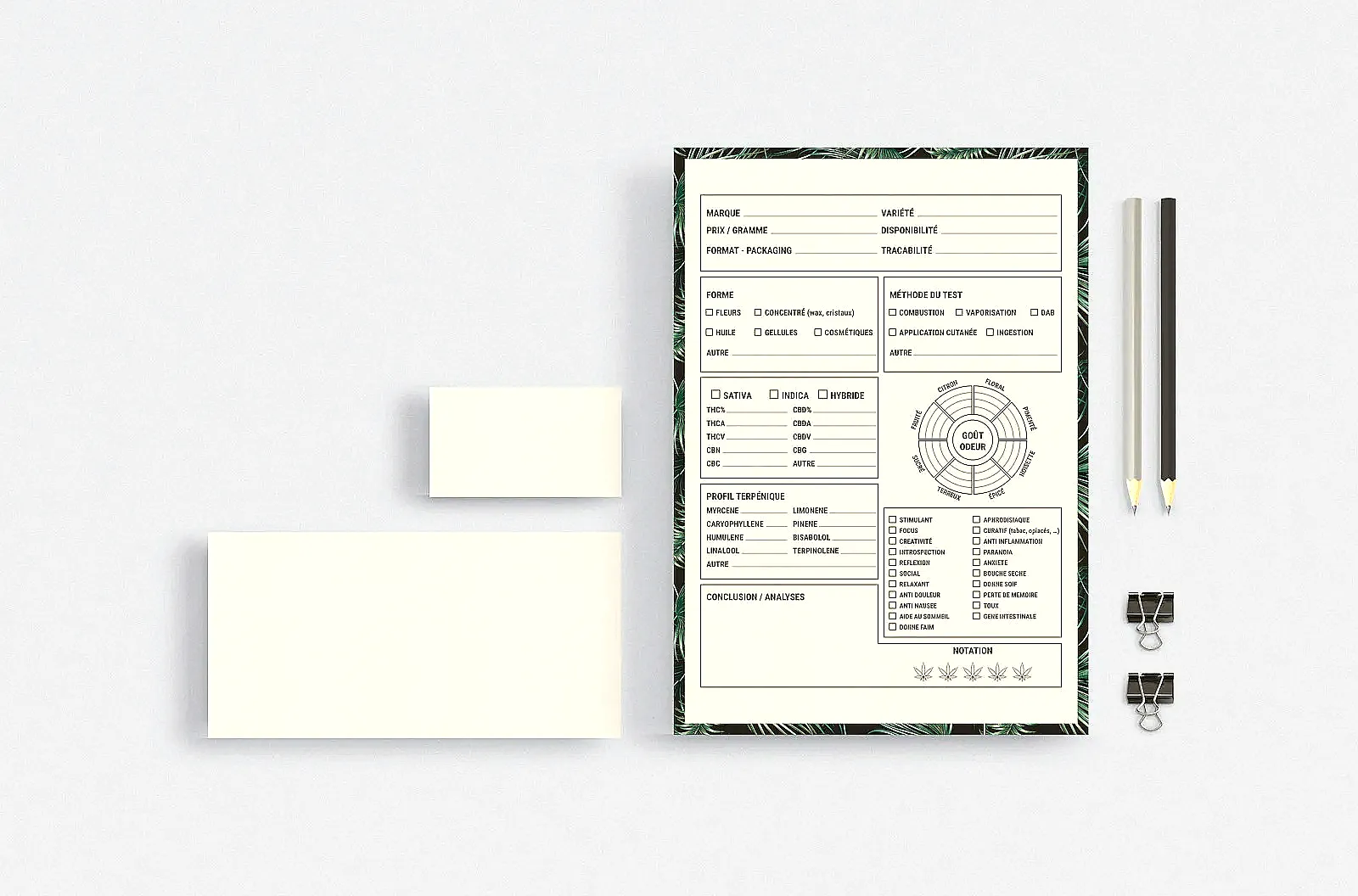 A simple single-column resume layout with clear headings and readable spacing.